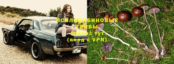 мяу мяу мука Пролетарск