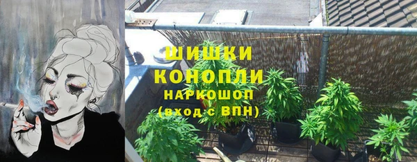 ГАЛЛЮЦИНОГЕННЫЕ ГРИБЫ Рославль